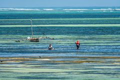 Beaches of Zanzibar 3