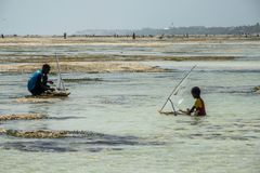 Beaches of Zanzibar 7