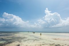 Beaches of Zanzibar 8