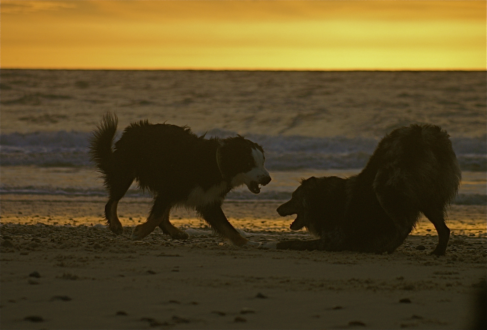 Beachgames DK 2011