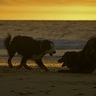 Beachgames DK 2011