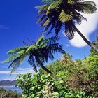 Beachhiking at Abel Tasman N.P.