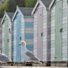 Beachhuts in Cornwall