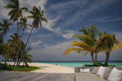 Beachlife