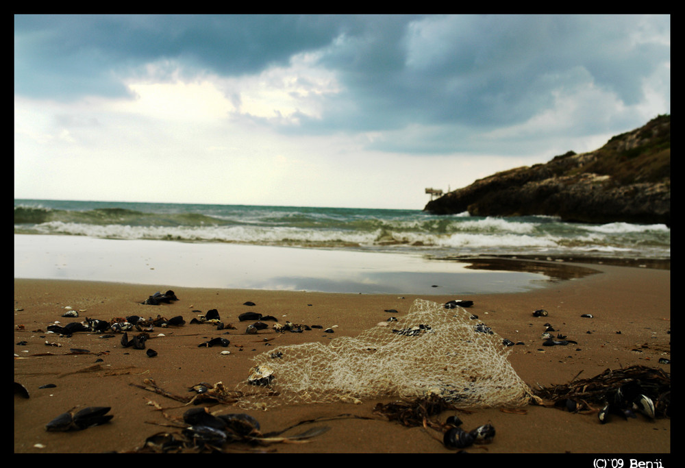 Beachlife