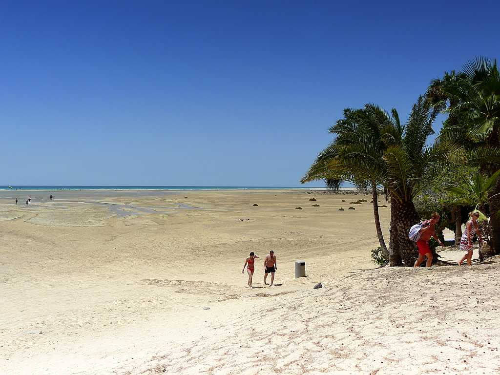 Beachlife