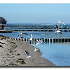 Beachlife