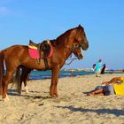 Beachlife auf Djerba