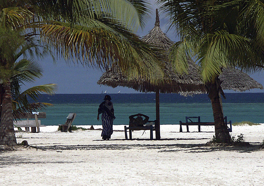 Beachlife by leolund 