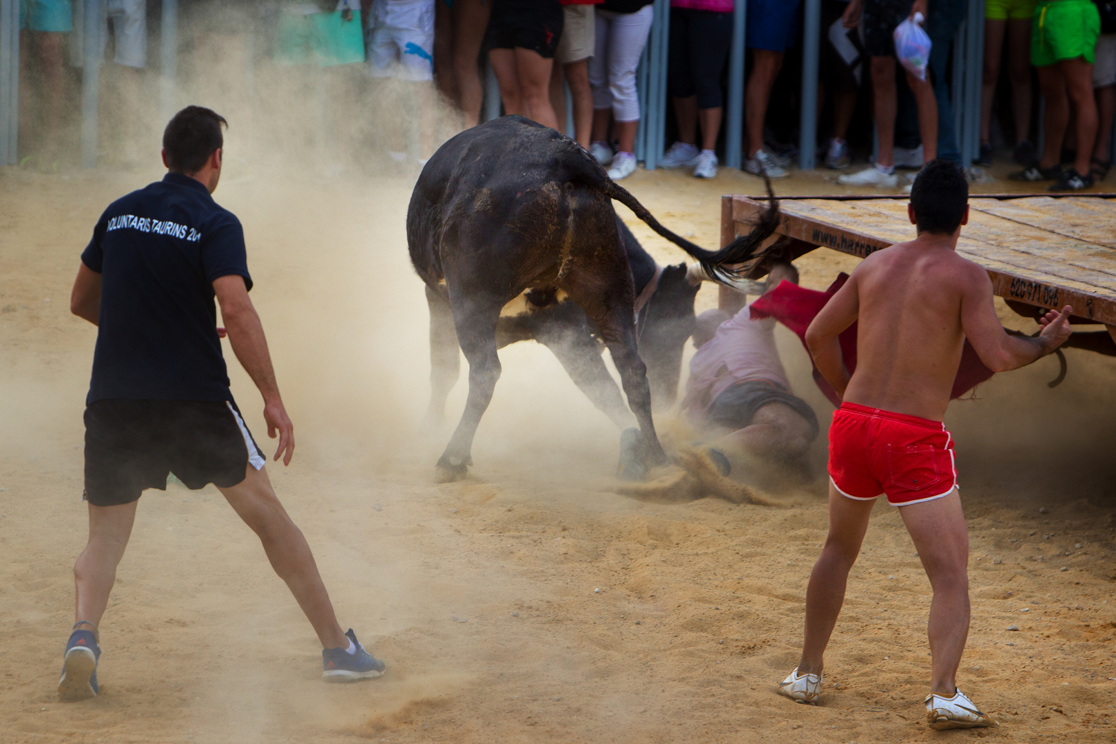 Beachlife einmal anders: Wer den Stier reizt, bekommt die Hörner zu spüren