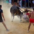 Beachlife einmal anders: Wer den Stier reizt, bekommt die Hörner zu spüren