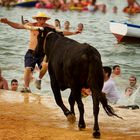 Beachlife einmal anders: Wer den Stier reizt, muss manchmal unfreiwillig baden