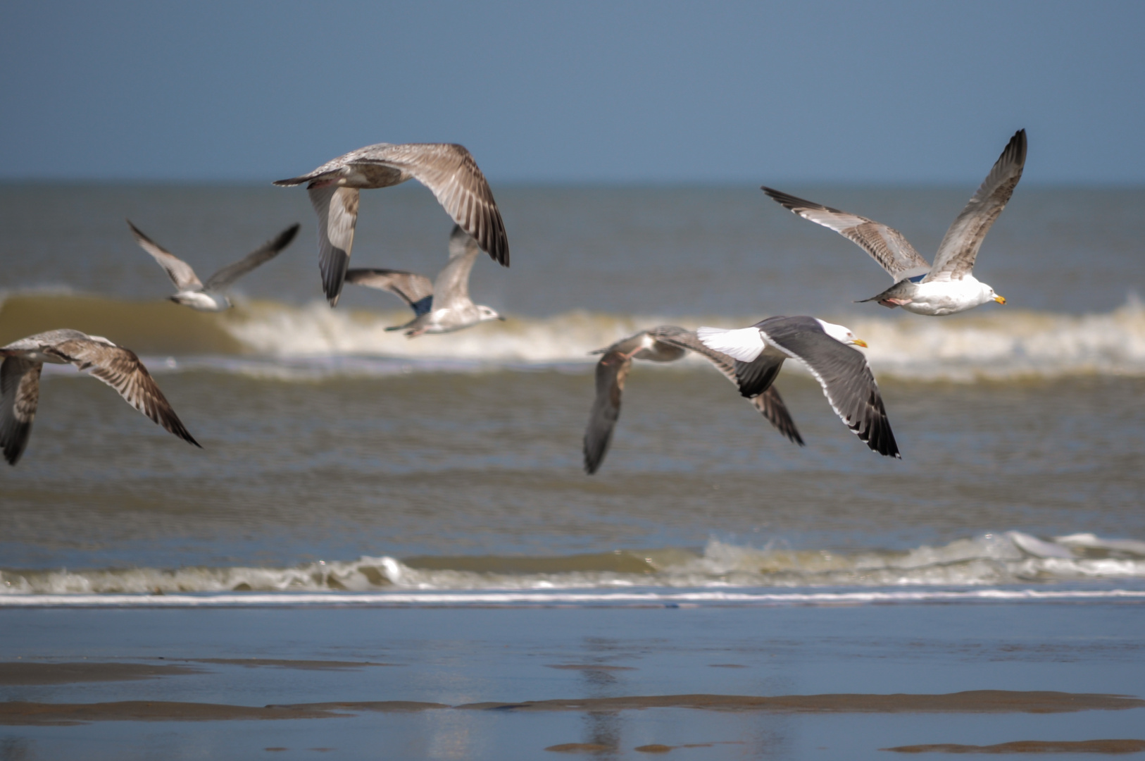 >>Beachlife II