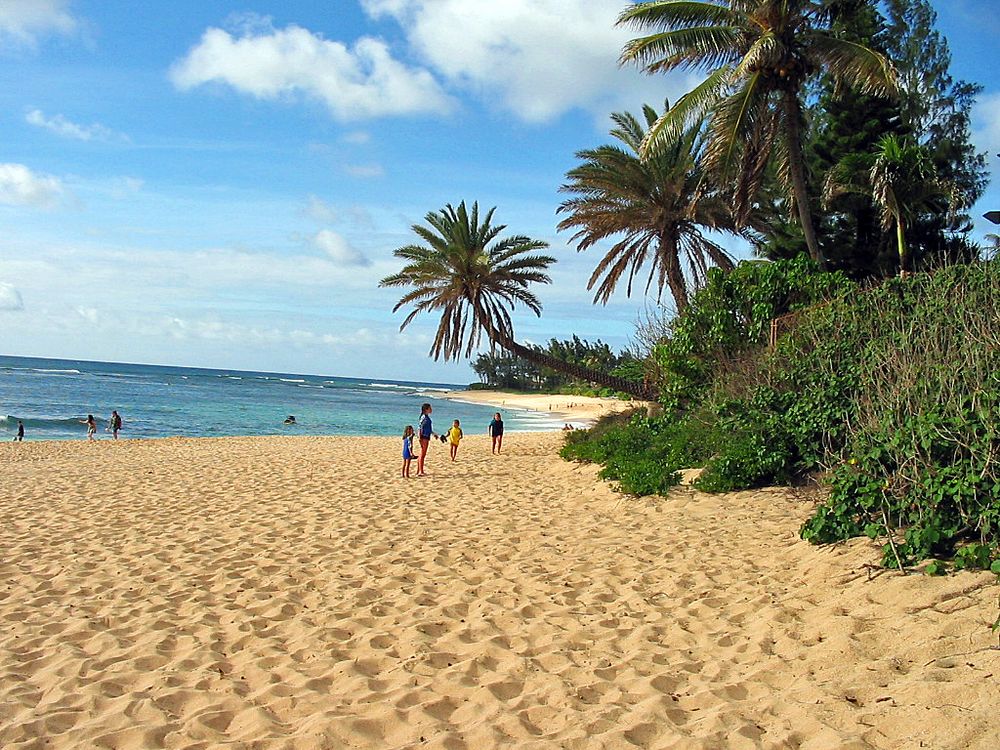 Beachlife II