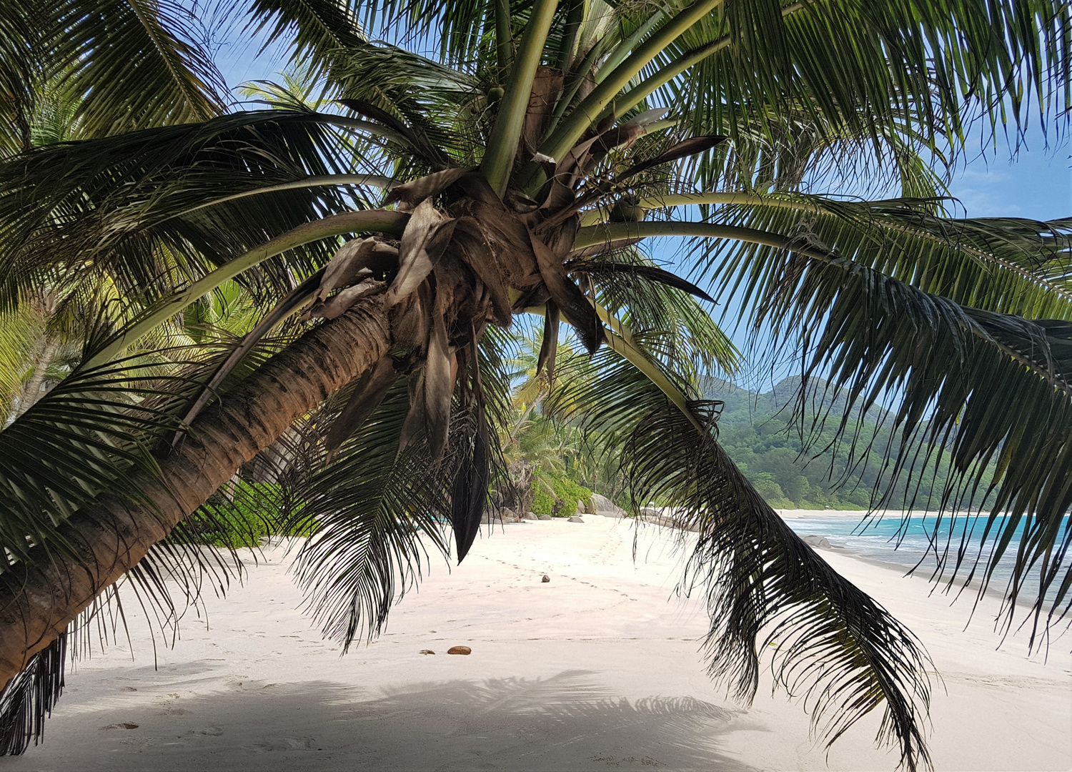 beachlife Seychellen