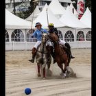 Beachpolo Timmendorfer Strand 3