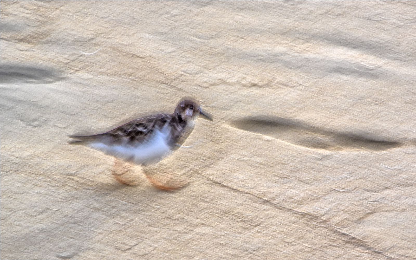 beachrunner