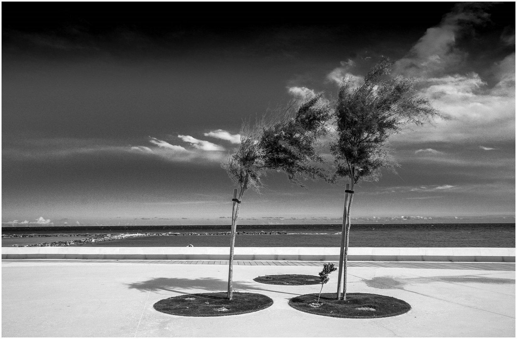 BEACHTREES