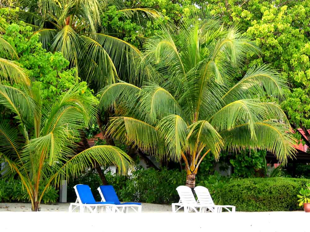 Beachvilla mit Garten und Strand, Kanifinolhu, Nordmale Atoll, Malediven