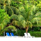 Beachvilla mit Garten und Strand, Kanifinolhu, Nordmale Atoll, Malediven