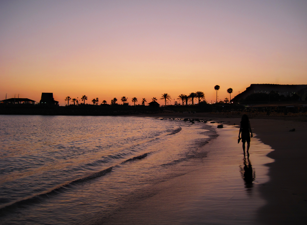 Beachwalk by M Mayer