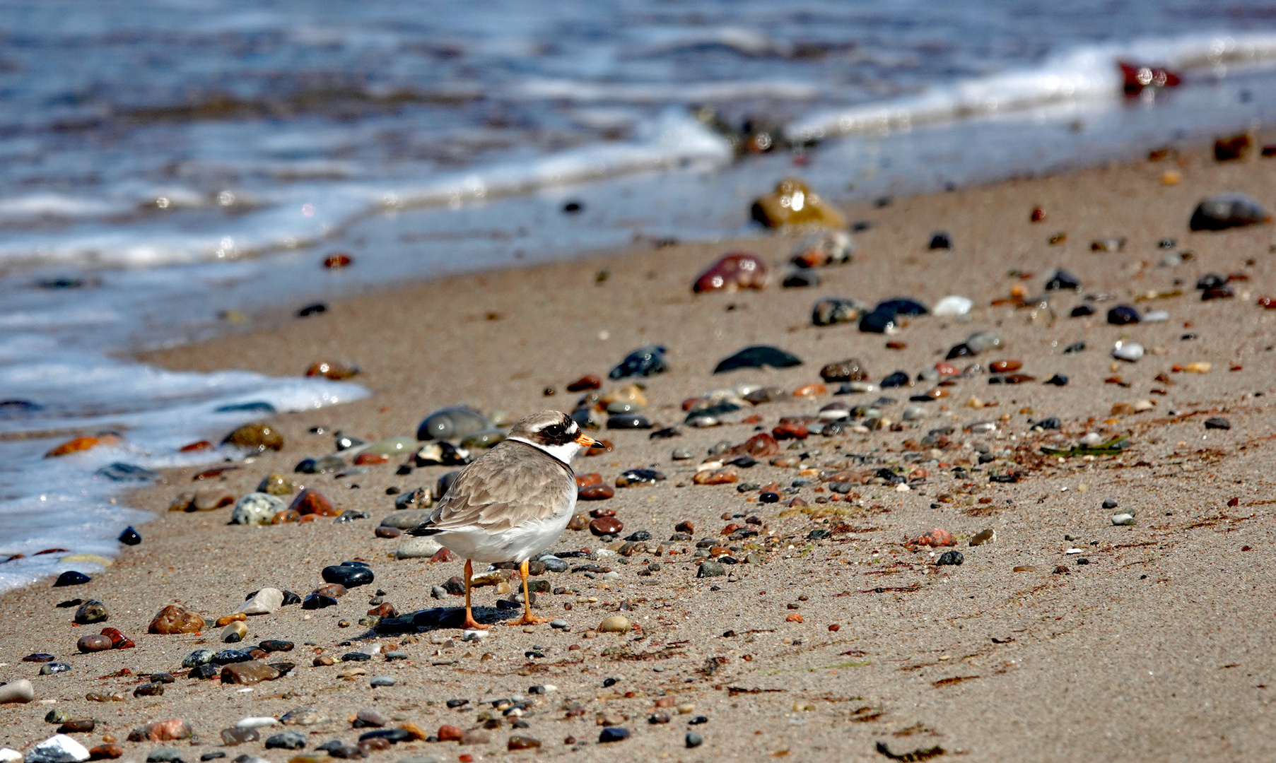 Beachwalk