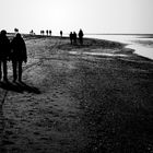 Beachwalkers