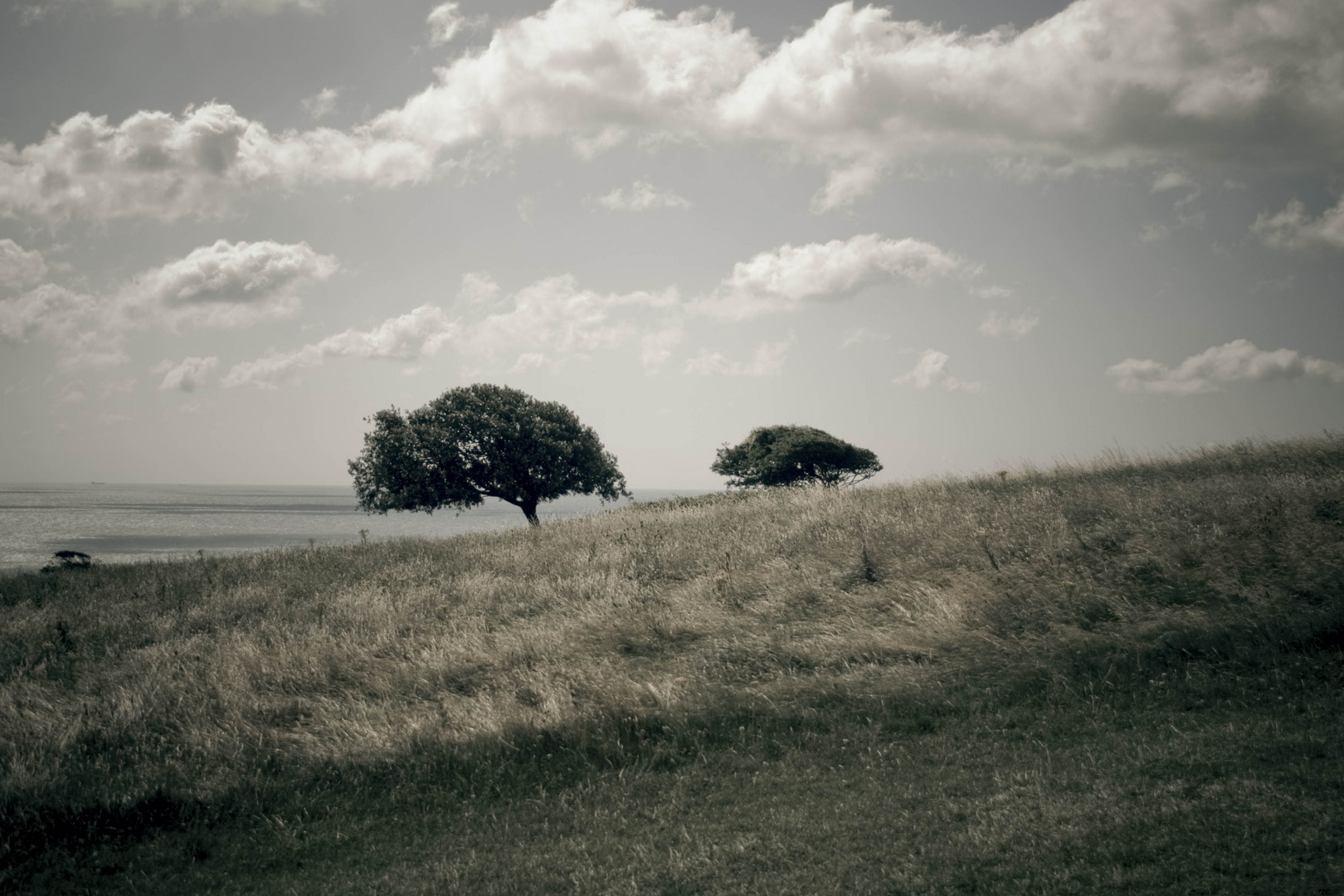 Beachy Head