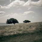 Beachy Head