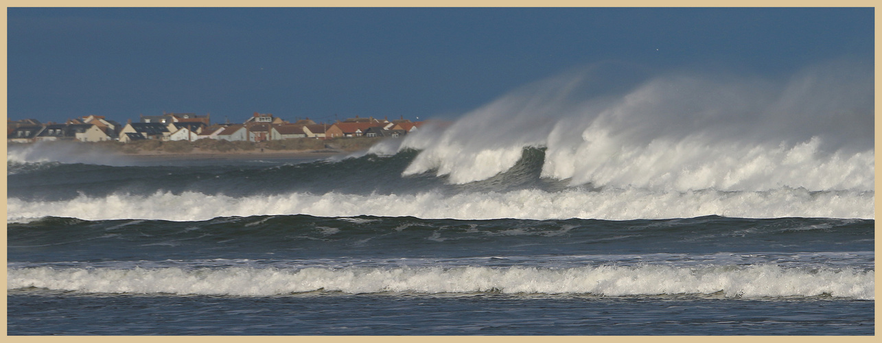 Beadnell bay in winter 14