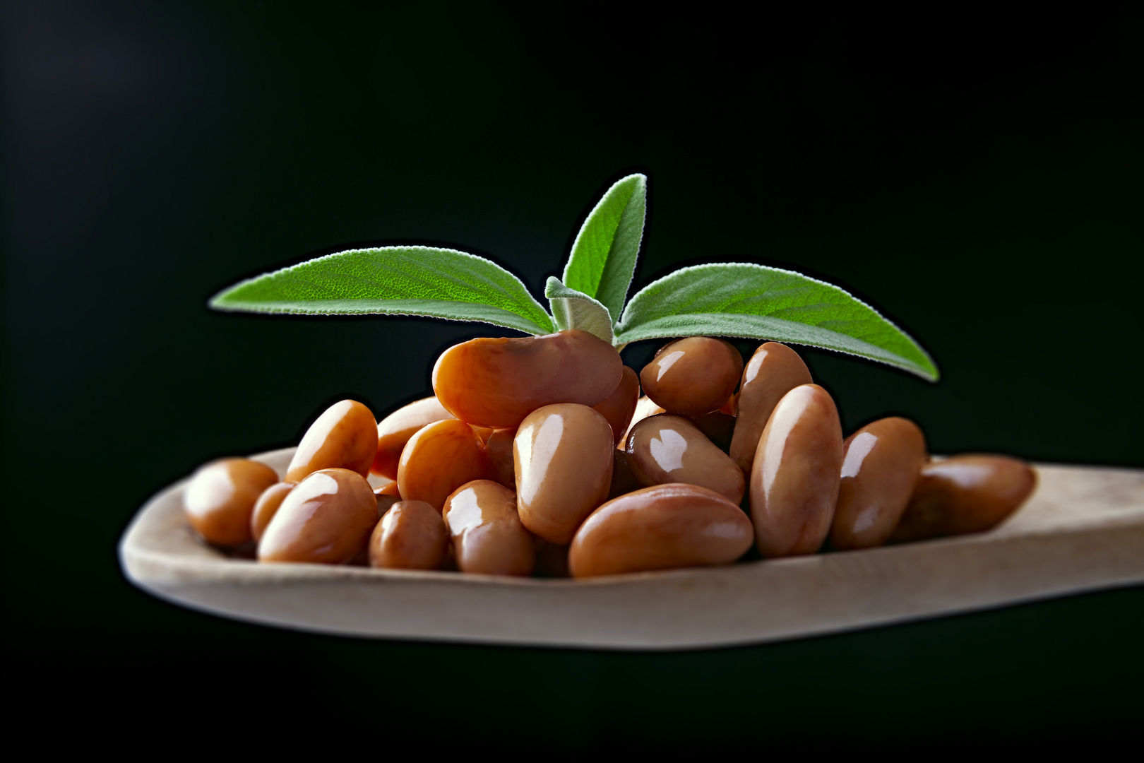 Beans & Sage