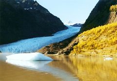 Bear Glacier