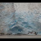 bear glacier III