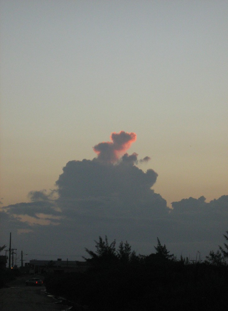 Bear on the clouds