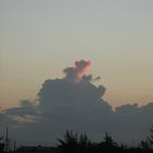 Bear on the clouds