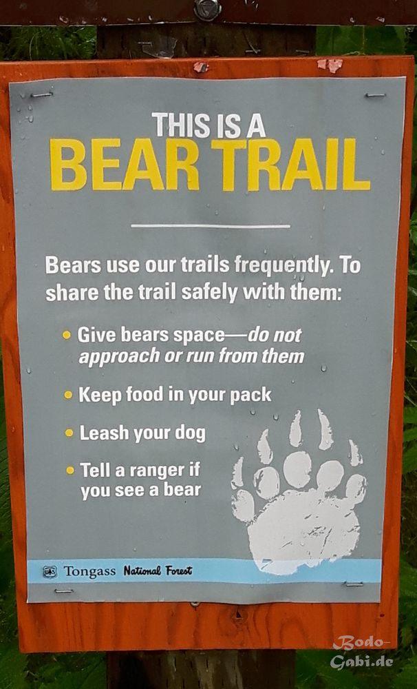 Bear Trail