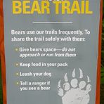 Bear Trail