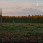 Bear watch at 4 a clock night time