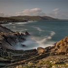 Beara Bowl