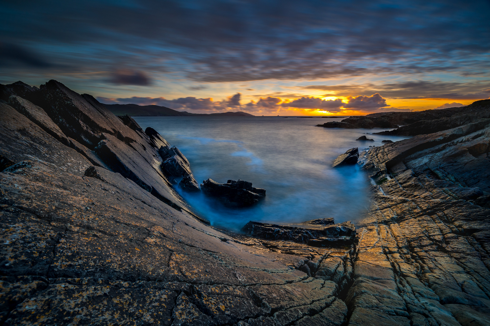 Beara Bowl