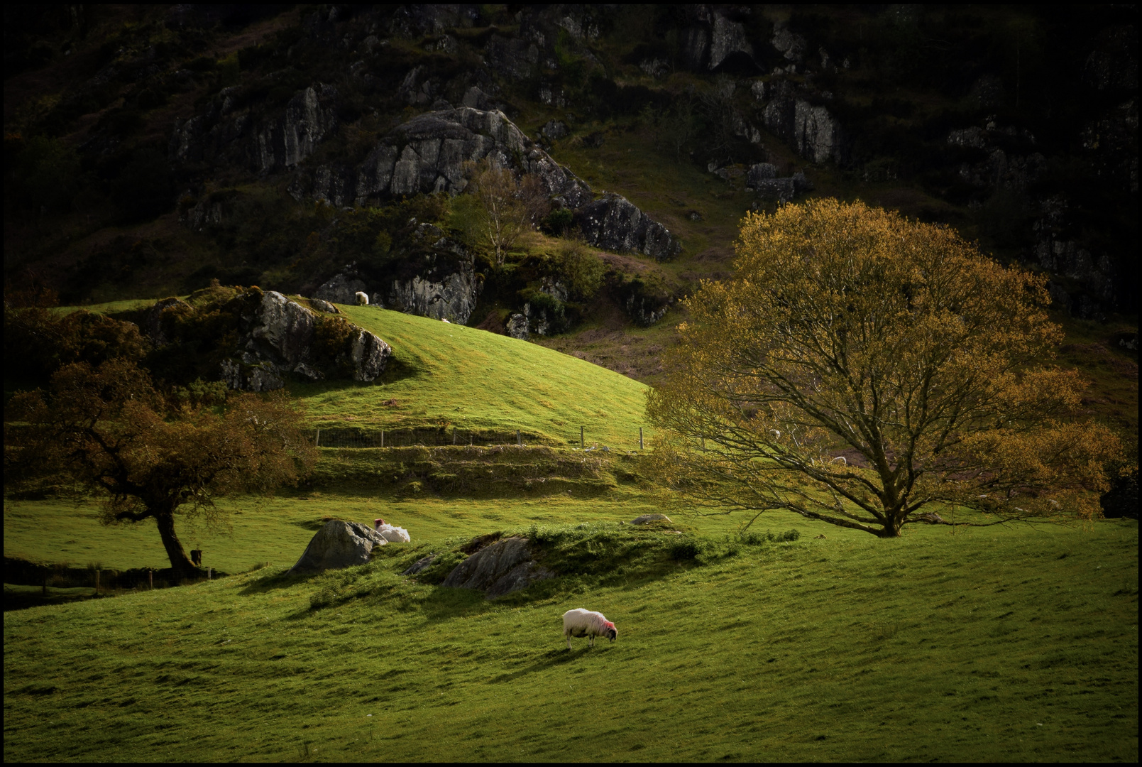 Beara Peninsula