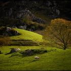 Beara Peninsula