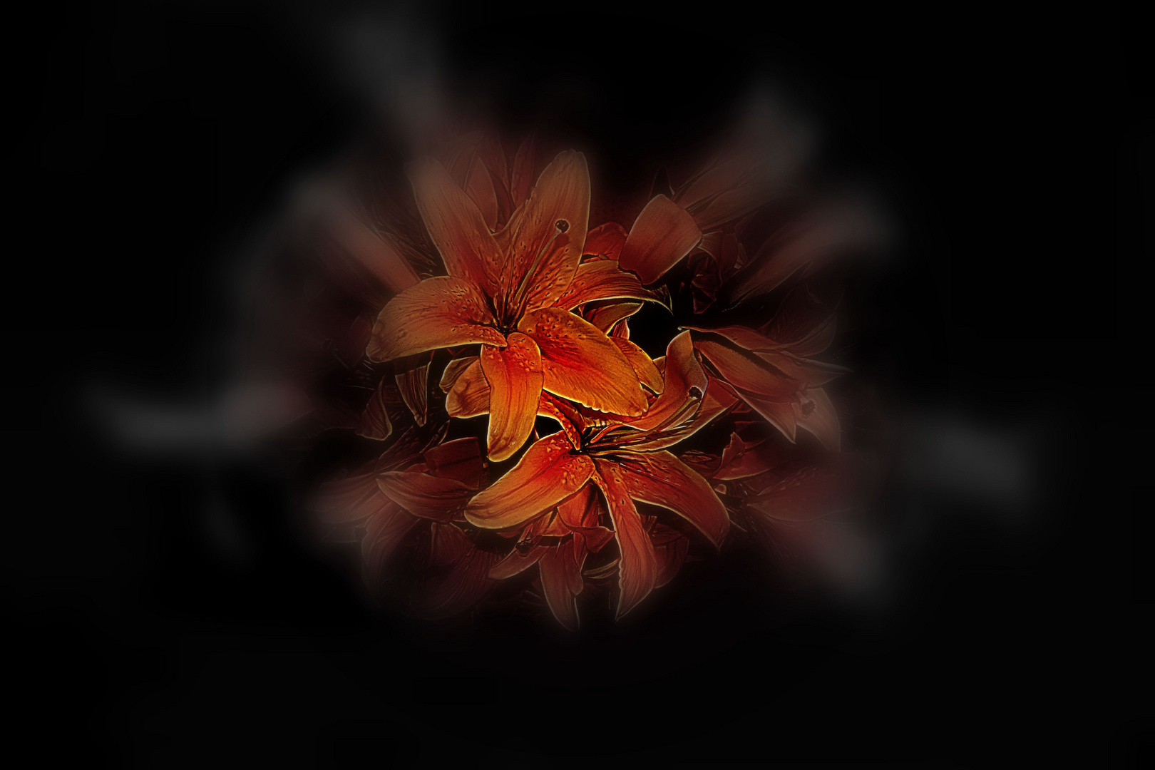 Bearbeitete Feuerlilie - Experiment -, "Mein Mittwochsblümchen!"