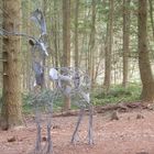Beast of Wyre Forest