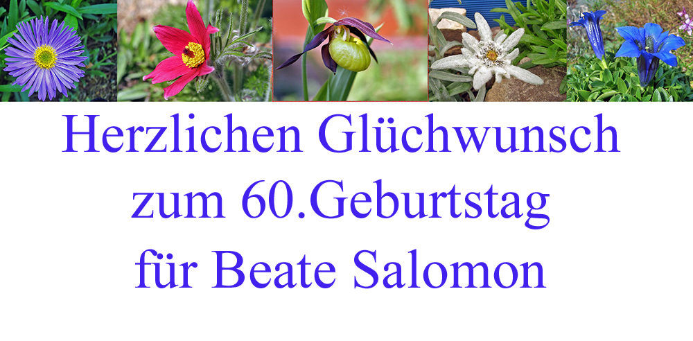 Beate Salomon zum 60. Geburtstag