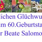 Beate Salomon zum 60. Geburtstag