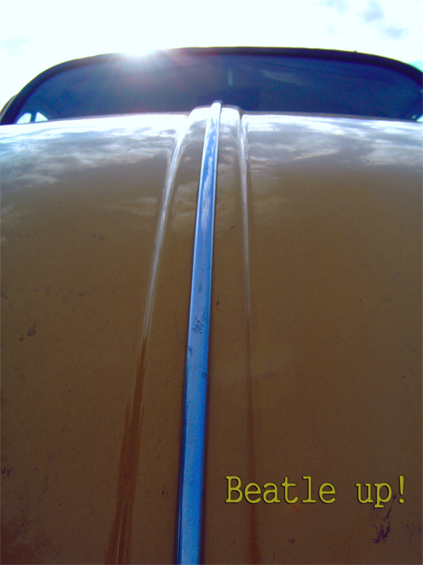 Beatle up!