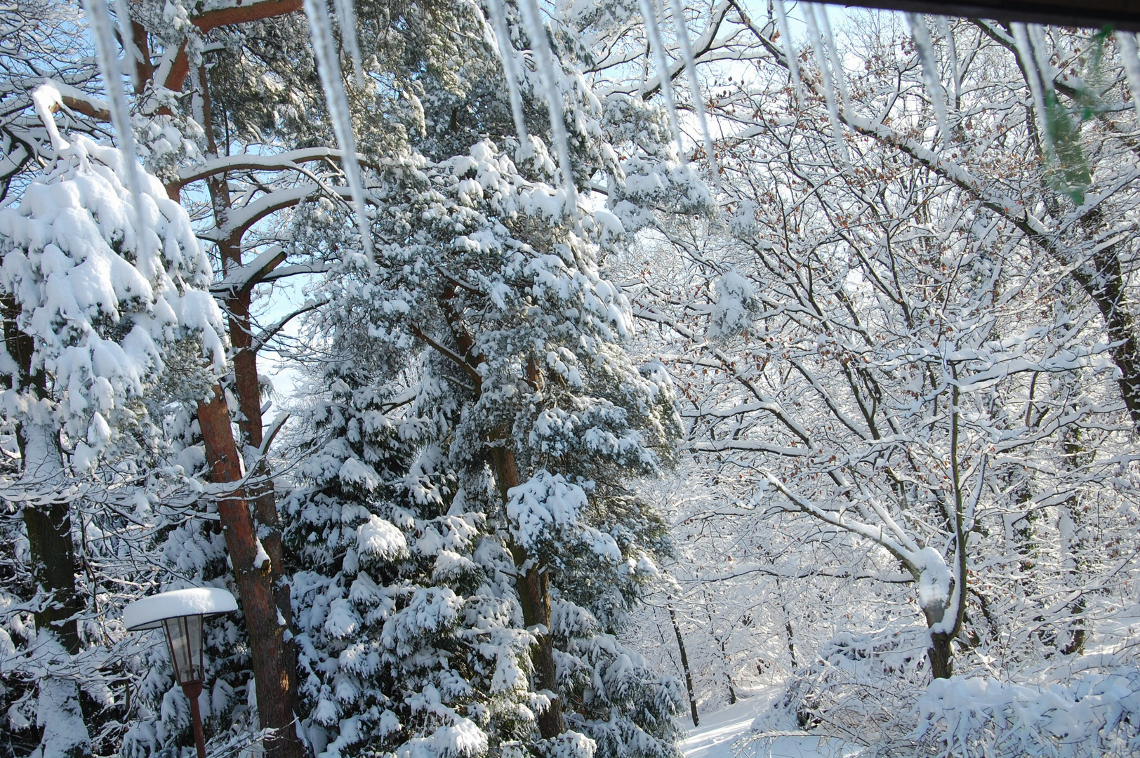 Beau mariage entre le soleil et la neige au levé du jour