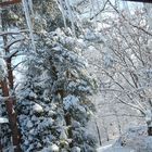 Beau mariage entre le soleil et la neige au levé du jour