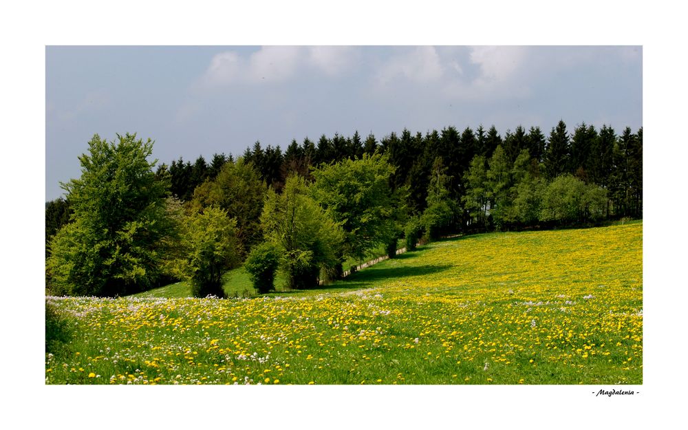 Beau printemps, que ferais-je sans toi ?